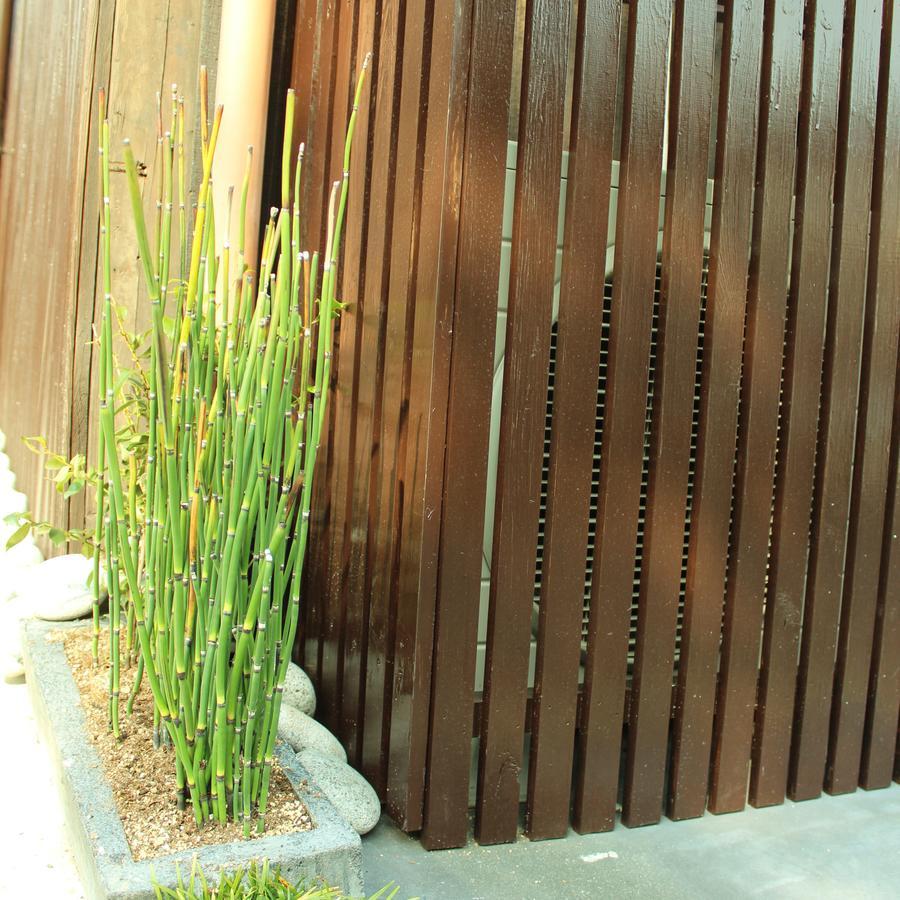 Guest House Koto Fushimi Inari Κιότο Εξωτερικό φωτογραφία